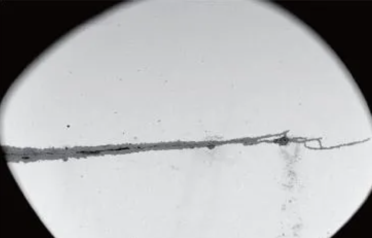 20260920/4f95b30c07c6e6427013325884f67928.png